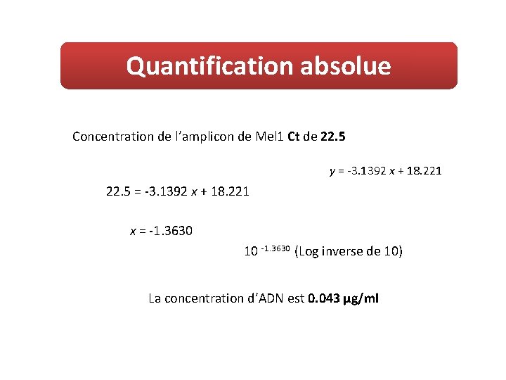 Quantification absolue Concentration de l’amplicon de Mel 1 Ct de 22. 5 y =