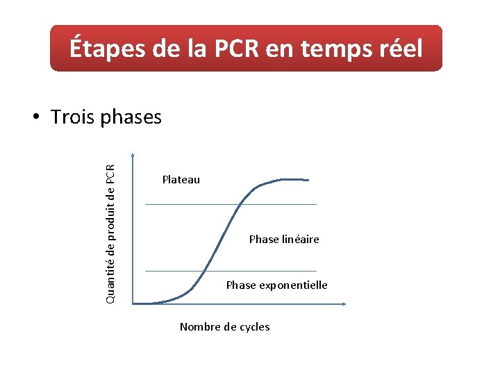Étapes de la PCR en temps réel Quantité de produit de PCR • Trois
