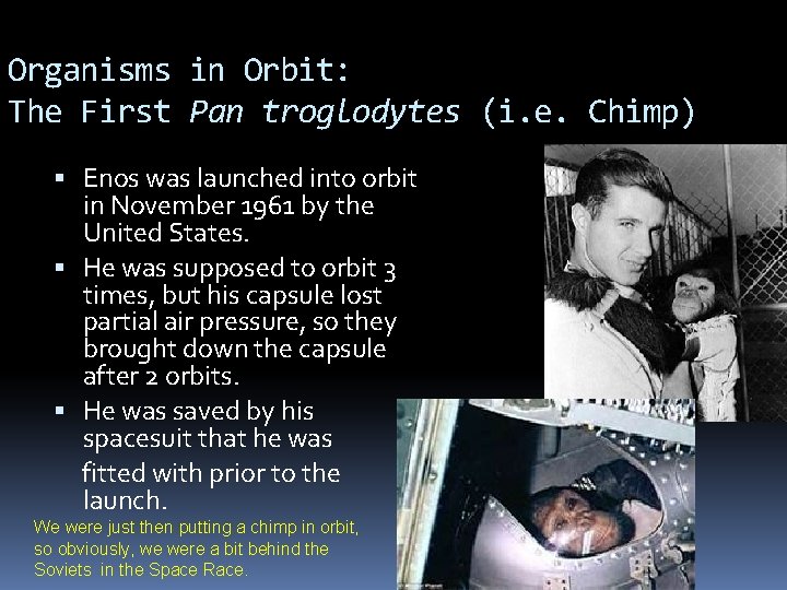 Organisms in Orbit: The First Pan troglodytes (i. e. Chimp) Enos was launched into