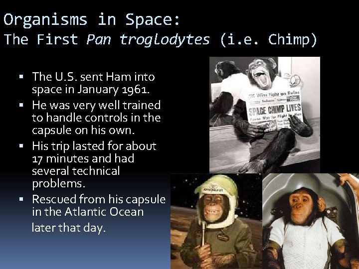 Organisms in Space: The First Pan troglodytes (i. e. Chimp) The U. S. sent