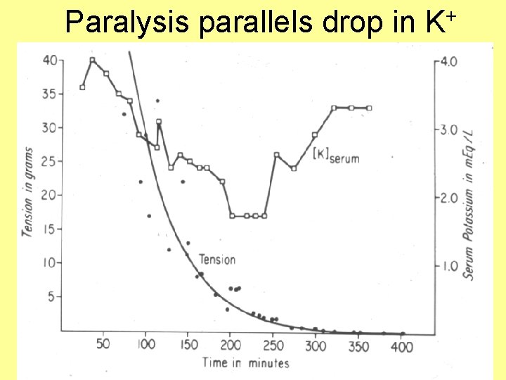 Paralysis parallels drop in K+ 