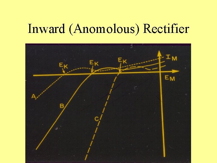 Inward (Anomolous) Rectifier 