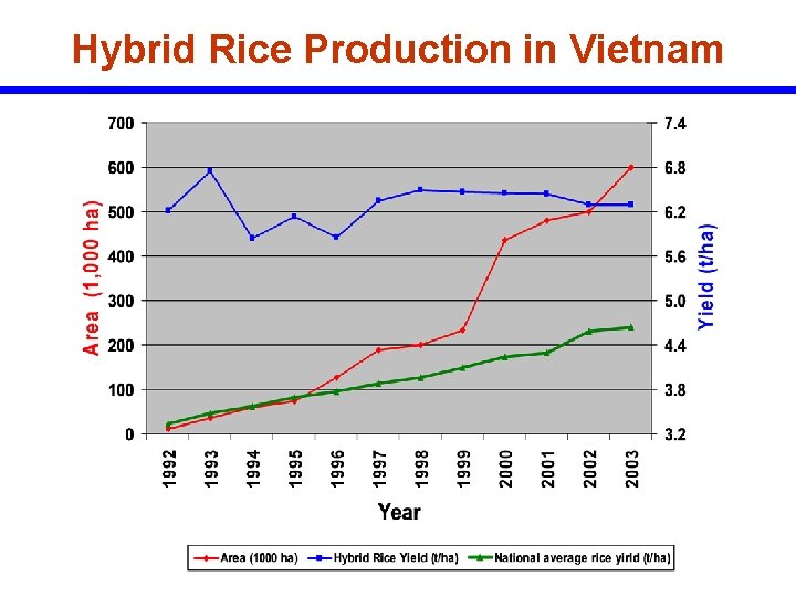 Hybrid Rice Production in Vietnam 