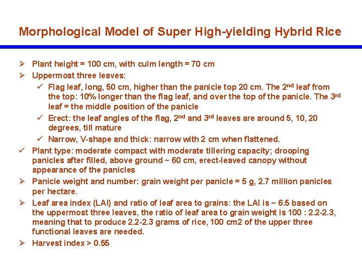 Morphological Model of Super High-yielding Hybrid Rice Ø Plant height = 100 cm, with