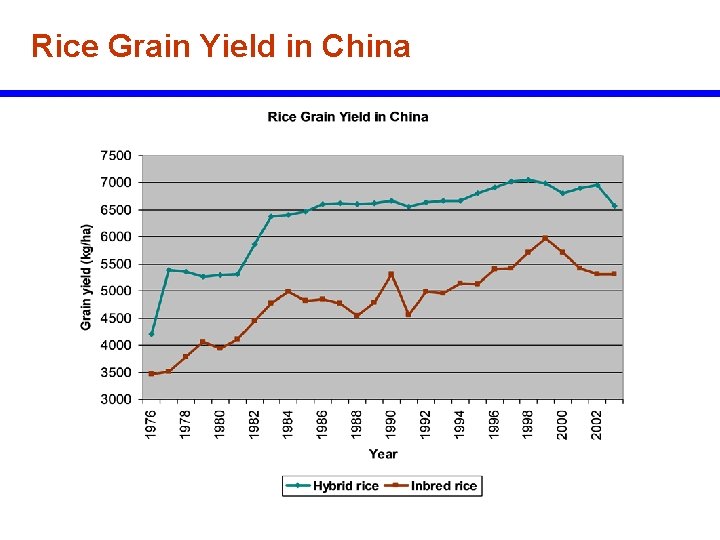 Rice Grain Yield in China 