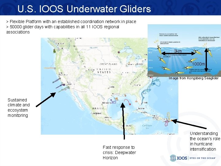 U. S. IOOS Underwater Gliders > Flexible Platform with an established coordination network in
