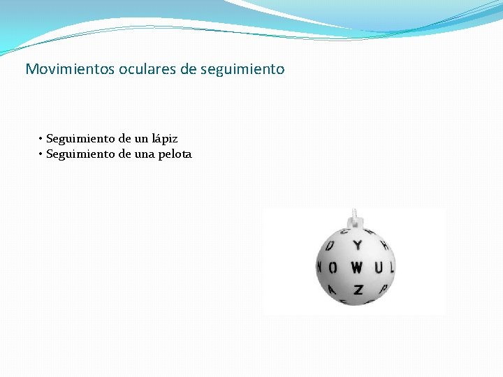 Movimientos oculares de seguimiento • Seguimiento de un lápiz • Seguimiento de una pelota
