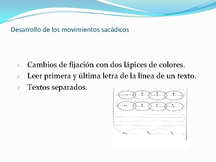 Desarrollo de los movimientos sacádicos Ø Ø Ø Cambios de fijación con dos lápices