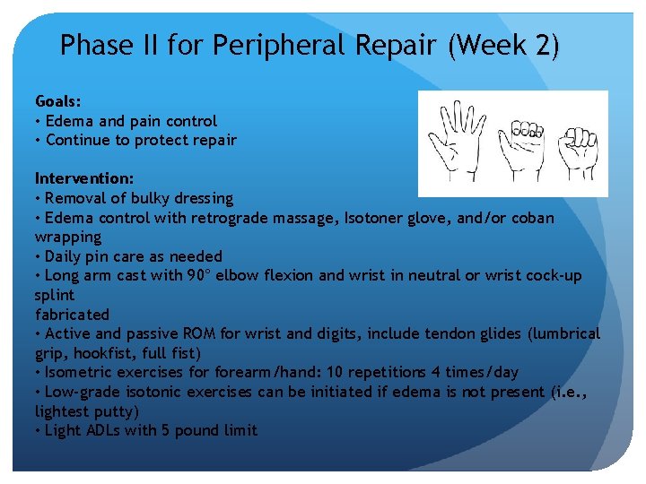 Phase II for Peripheral Repair (Week 2) Goals: • Edema and pain control •