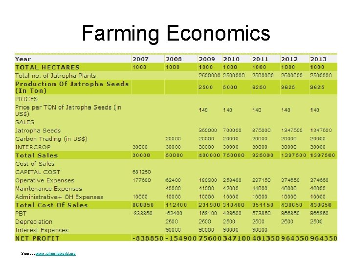 Farming Economics Source: www. jatrophaworld. org 
