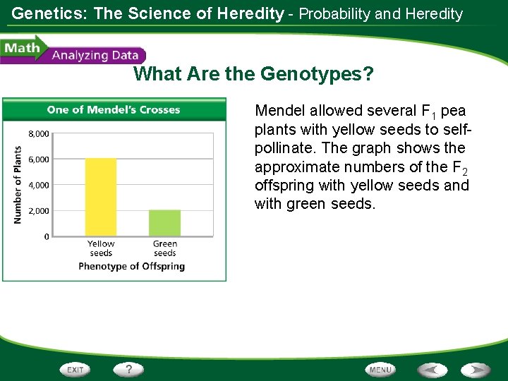 Genetics: The Science of Heredity - Probability and Heredity What Are the Genotypes? Mendel