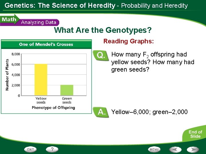 Genetics: The Science of Heredity - Probability and Heredity What Are the Genotypes? Reading