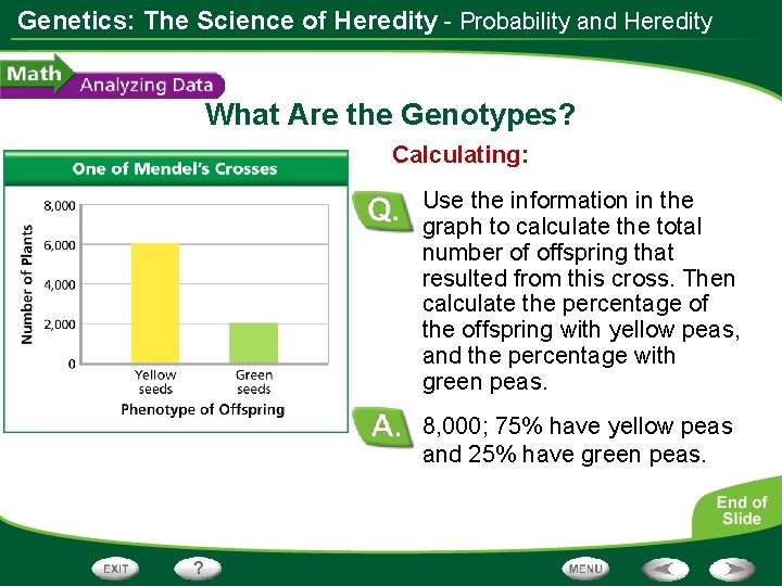 Genetics: The Science of Heredity - Probability and Heredity What Are the Genotypes? Calculating: