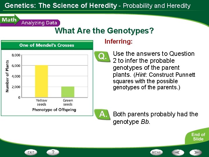 Genetics: The Science of Heredity - Probability and Heredity What Are the Genotypes? Inferring: