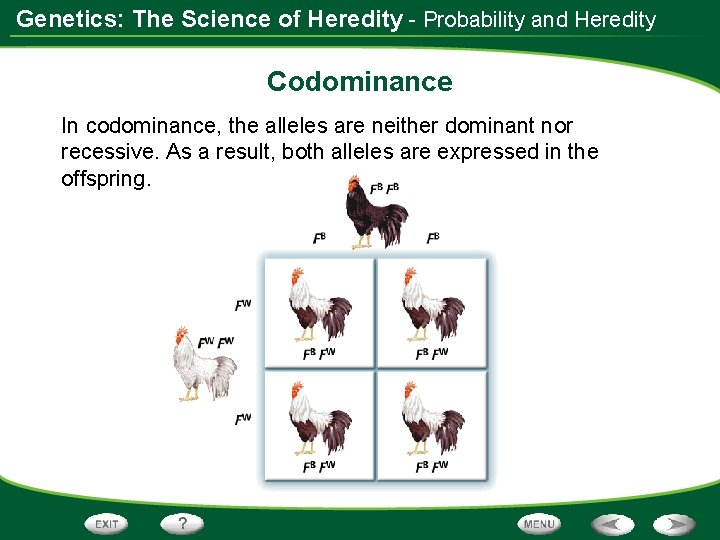 Genetics: The Science of Heredity - Probability and Heredity Codominance In codominance, the alleles