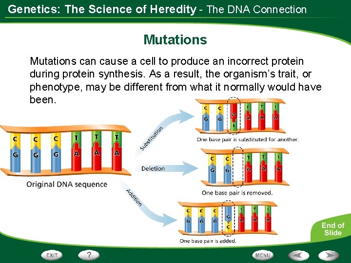Genetics: The Science of Heredity - The DNA Connection Mutations can cause a cell