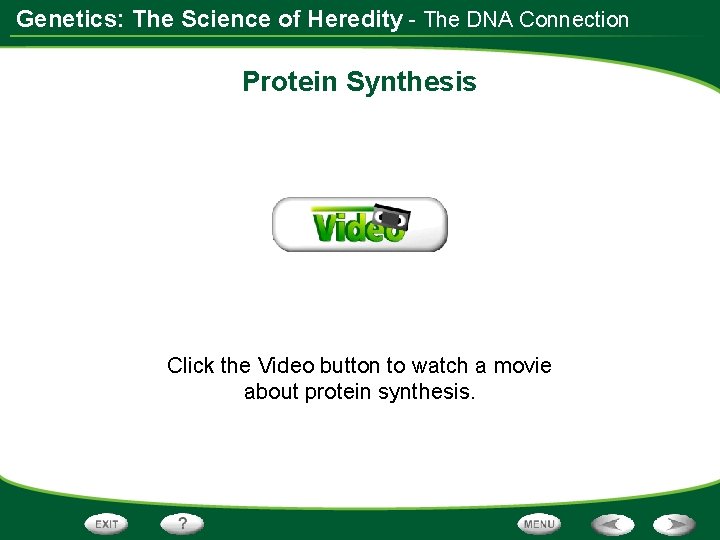 Genetics: The Science of Heredity - The DNA Connection Protein Synthesis Click the Video