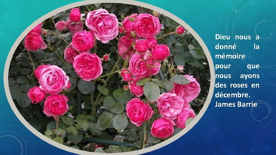 Dieu nous a donné la mémoire pour que nous ayons des roses en décembre.