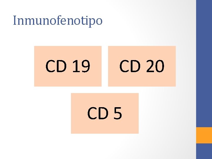 Inmunofenotipo CD 19 CD 20 CD 5 