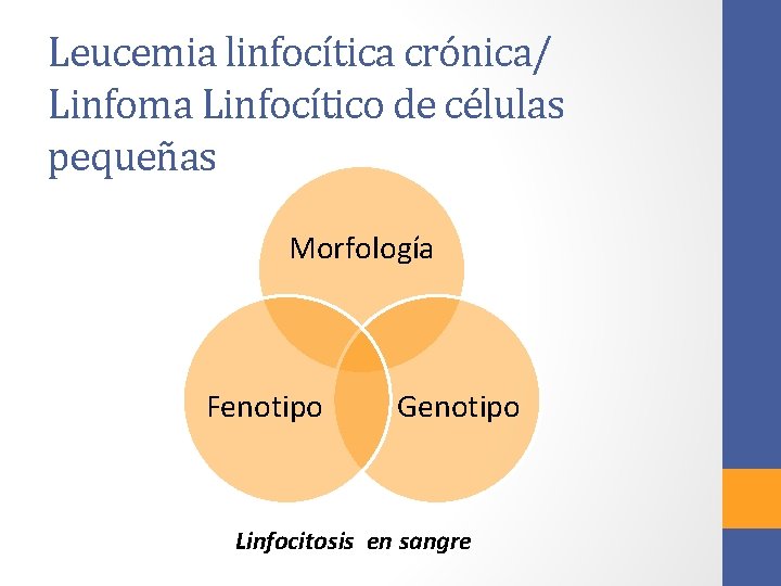 Leucemia linfocítica crónica/ Linfoma Linfocítico de células pequeñas Morfología Fenotipo Genotipo Linfocitosis en sangre