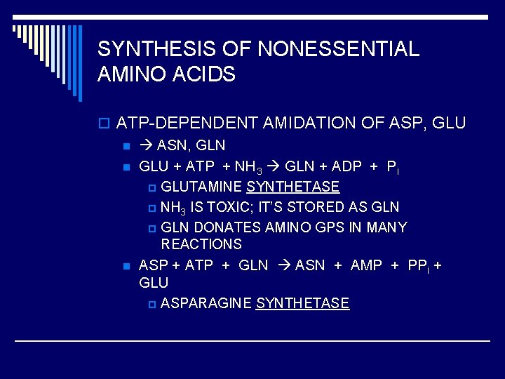 SYNTHESIS OF NONESSENTIAL AMINO ACIDS o ATP-DEPENDENT AMIDATION OF ASP, GLU n ASN, GLN