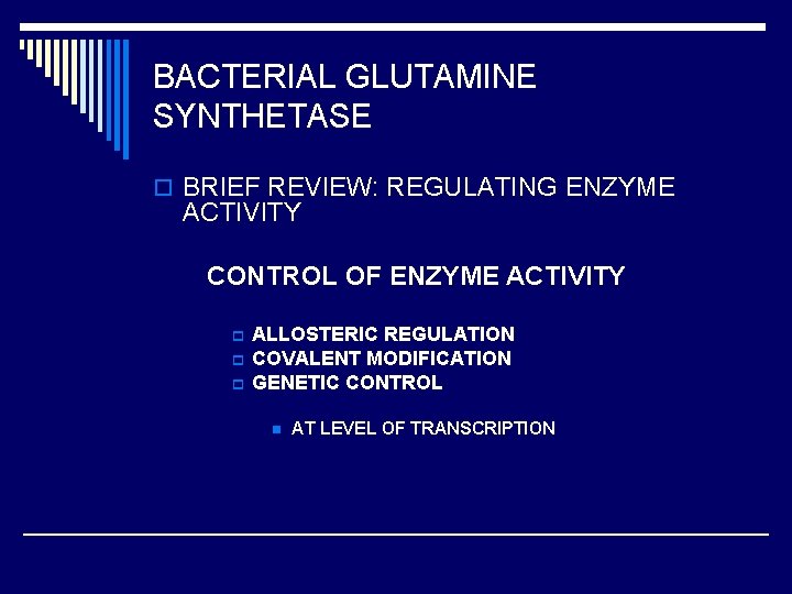 BACTERIAL GLUTAMINE SYNTHETASE o BRIEF REVIEW: REGULATING ENZYME ACTIVITY CONTROL OF ENZYME ACTIVITY p