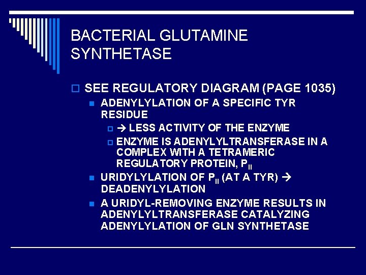 BACTERIAL GLUTAMINE SYNTHETASE o SEE REGULATORY DIAGRAM (PAGE 1035) n ADENYLYLATION OF A SPECIFIC