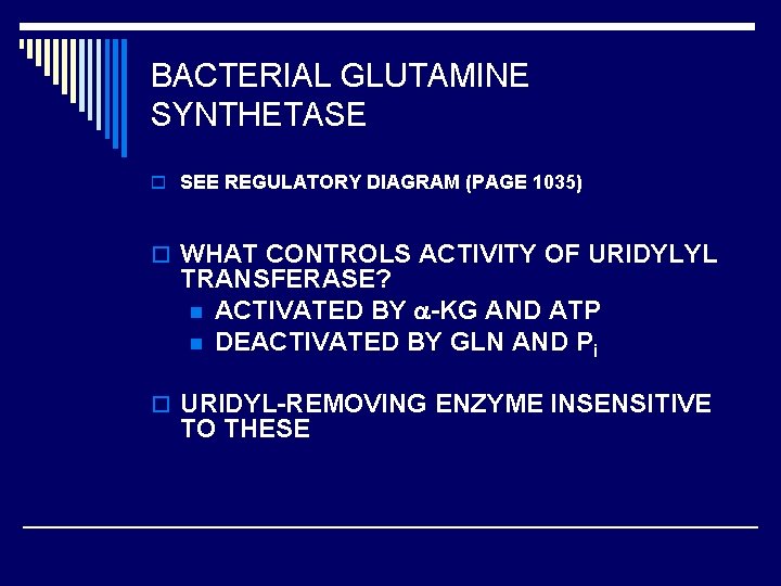 BACTERIAL GLUTAMINE SYNTHETASE o SEE REGULATORY DIAGRAM (PAGE 1035) o WHAT CONTROLS ACTIVITY OF