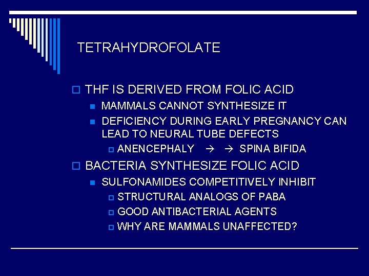 TETRAHYDROFOLATE o THF IS DERIVED FROM FOLIC ACID n MAMMALS CANNOT SYNTHESIZE IT n