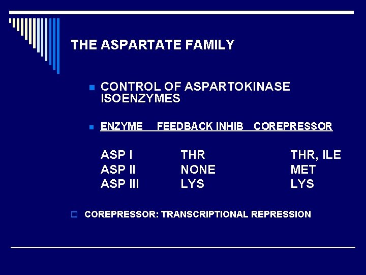 THE ASPARTATE FAMILY n CONTROL OF ASPARTOKINASE ISOENZYMES n ENZYME ASP III FEEDBACK INHIB
