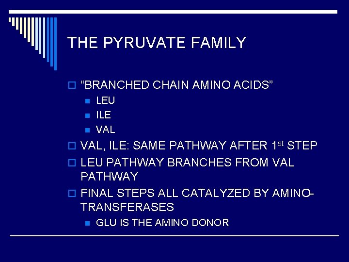 THE PYRUVATE FAMILY o “BRANCHED CHAIN AMINO ACIDS” n LEU n ILE n VAL