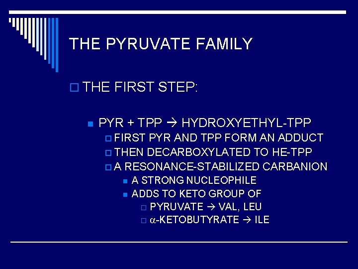 THE PYRUVATE FAMILY o THE FIRST STEP: n PYR + TPP HYDROXYETHYL-TPP p FIRST