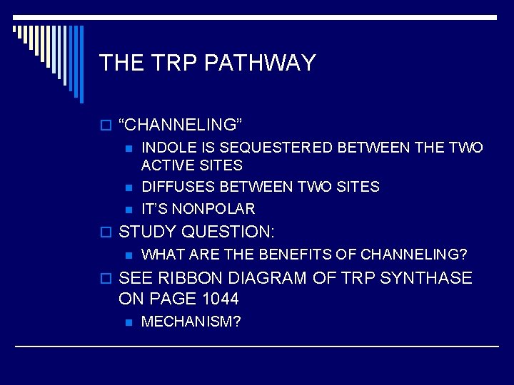 THE TRP PATHWAY o “CHANNELING” n INDOLE IS SEQUESTERED BETWEEN THE TWO ACTIVE SITES