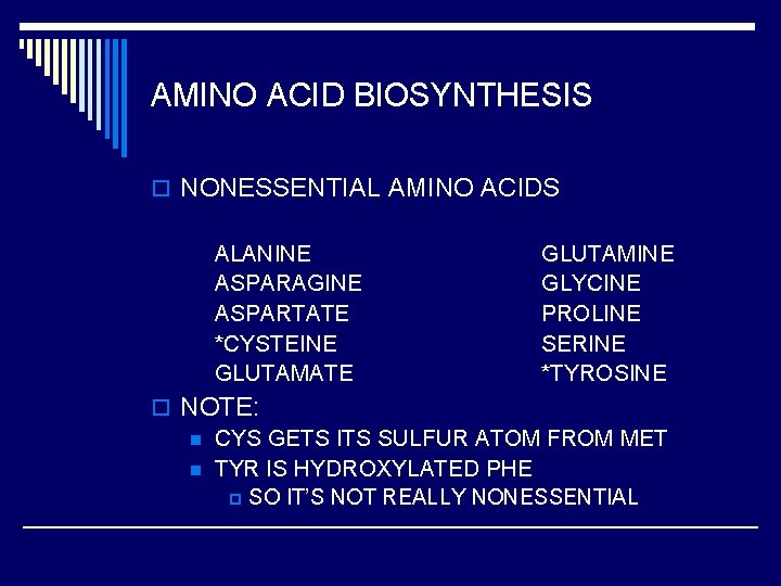 AMINO ACID BIOSYNTHESIS o NONESSENTIAL AMINO ACIDS ALANINE ASPARAGINE ASPARTATE *CYSTEINE GLUTAMATE GLUTAMINE GLYCINE