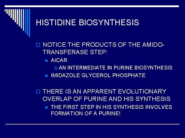 HISTIDINE BIOSYNTHESIS o NOTICE THE PRODUCTS OF THE AMIDO- TRANSFERASE STEP: n n AICAR