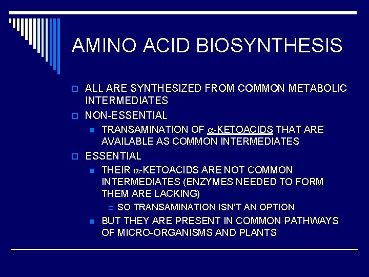 AMINO ACID BIOSYNTHESIS o ALL ARE SYNTHESIZED FROM COMMON METABOLIC INTERMEDIATES o NON-ESSENTIAL n