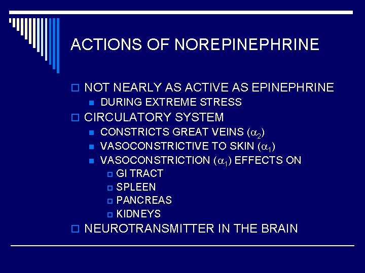ACTIONS OF NOREPINEPHRINE o NOT NEARLY AS ACTIVE AS EPINEPHRINE n DURING EXTREME STRESS