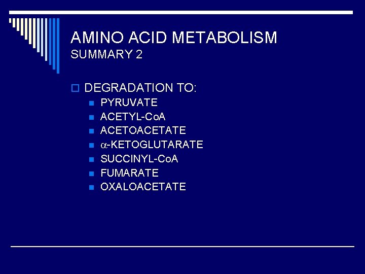 AMINO ACID METABOLISM SUMMARY 2 o DEGRADATION TO: n PYRUVATE n ACETYL-Co. A n