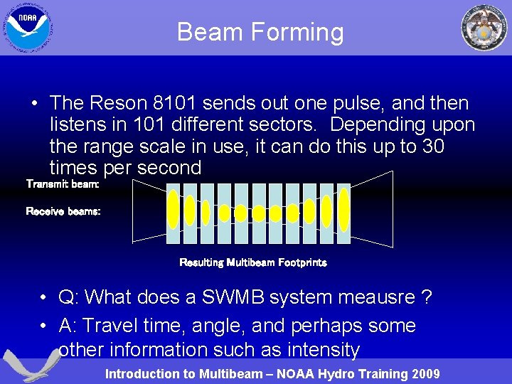 Beam Forming • The Reson 8101 sends out one pulse, and then listens in