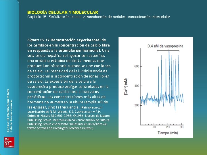 BIOLOGÍA CELULAR Y MOLECULAR Todos los derechos reservados. Mc. Graw-Hill Interamericana Editores Capítulo 15.