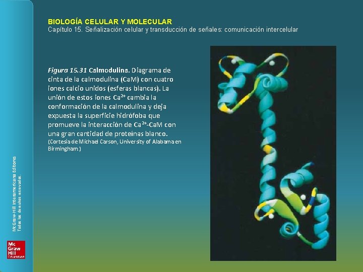 BIOLOGÍA CELULAR Y MOLECULAR Capítulo 15. Señalización celular y transducción de señales: comunicación intercelular