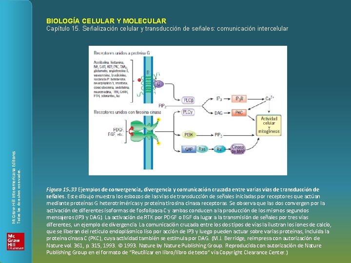 BIOLOGÍA CELULAR Y MOLECULAR Todos los derechos reservados. Mc. Graw-Hill Interamericana Editores Capítulo 15.