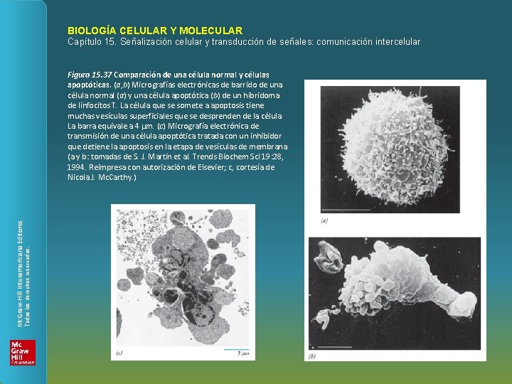 BIOLOGÍA CELULAR Y MOLECULAR Capítulo 15. Señalización celular y transducción de señales: comunicación intercelular