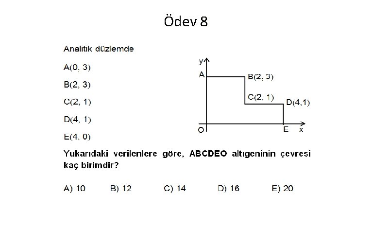 Ödev 8 