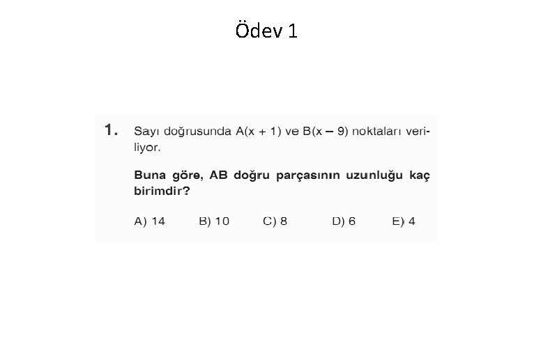 Ödev 1 