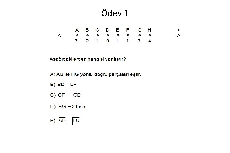 Ödev 1 