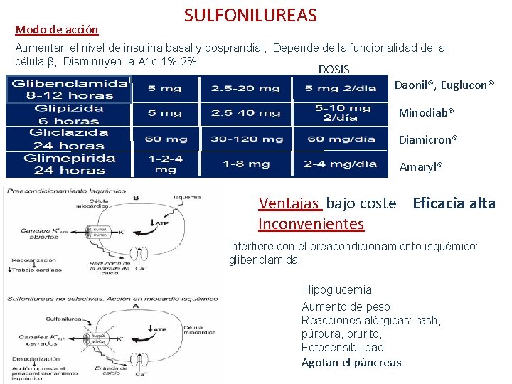 Modo de acción SULFONILUREAS Aumentan el nivel de insulina basal y posprandial, Depende de