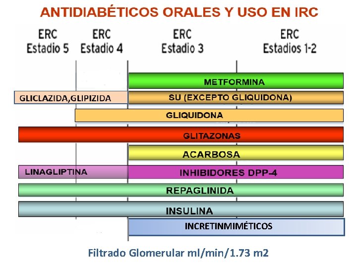 INCRETINMIMÉTICOS Filtrado Glomerular ml/min/1. 73 m 2 