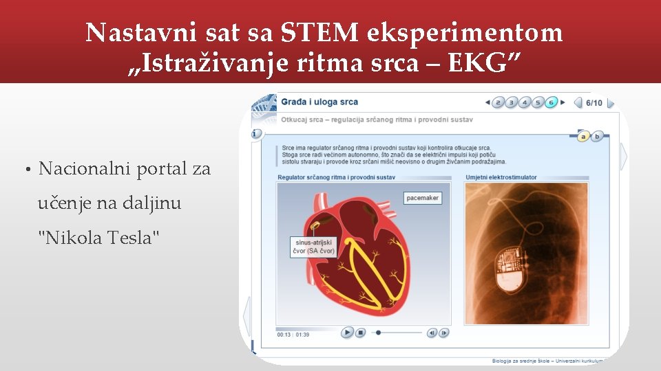 Nastavni sat sa STEM eksperimentom „Istraživanje ritma srca – EKG” • Nacionalni portal za
