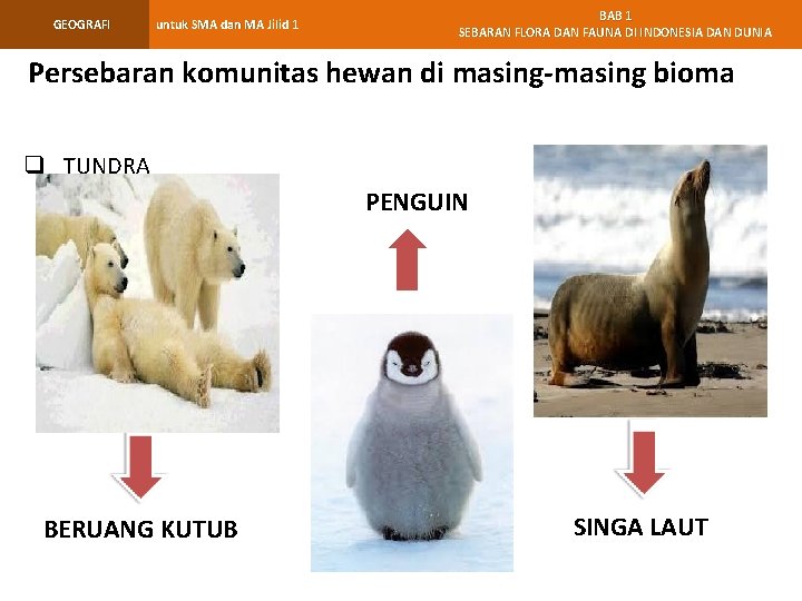 GEOGRAFI untuk SMA dan MA Jilid 1 BAB 1 SEBARAN FLORA DAN FAUNA DI